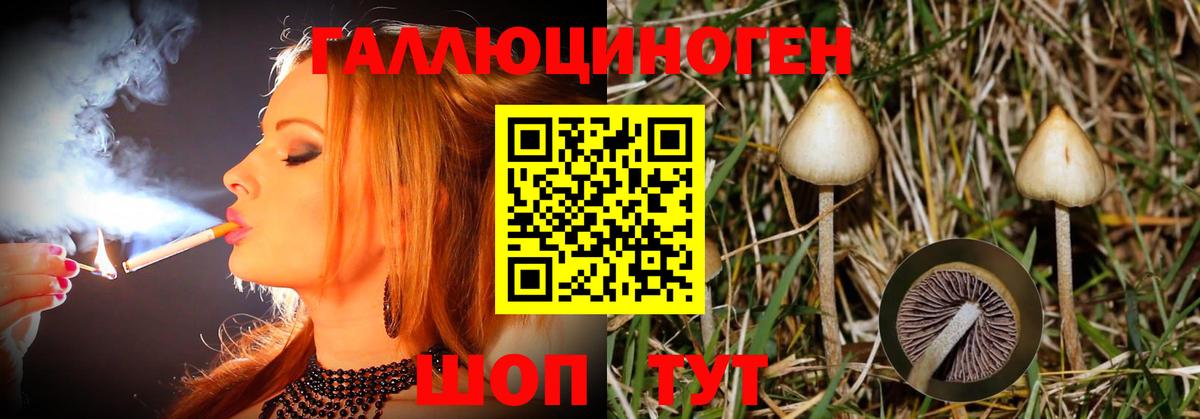 Где продают наркотики?  Конопля  Гашиш  Экстази  Кокаин  Саранск  Кодеин  Вход с VPN  МЕФ   A PVP СК  
