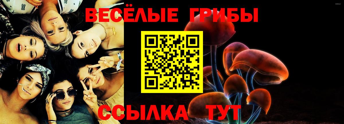 купить наркотик  Вход с VPN  Саранск  Псилоцибиновые грибы ЛСД 